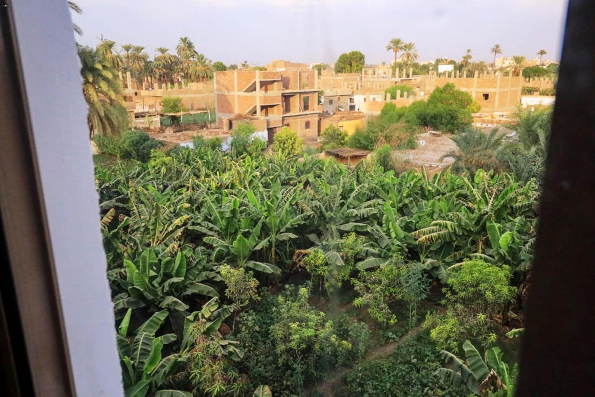 Luxor View Hostel 외부 사진