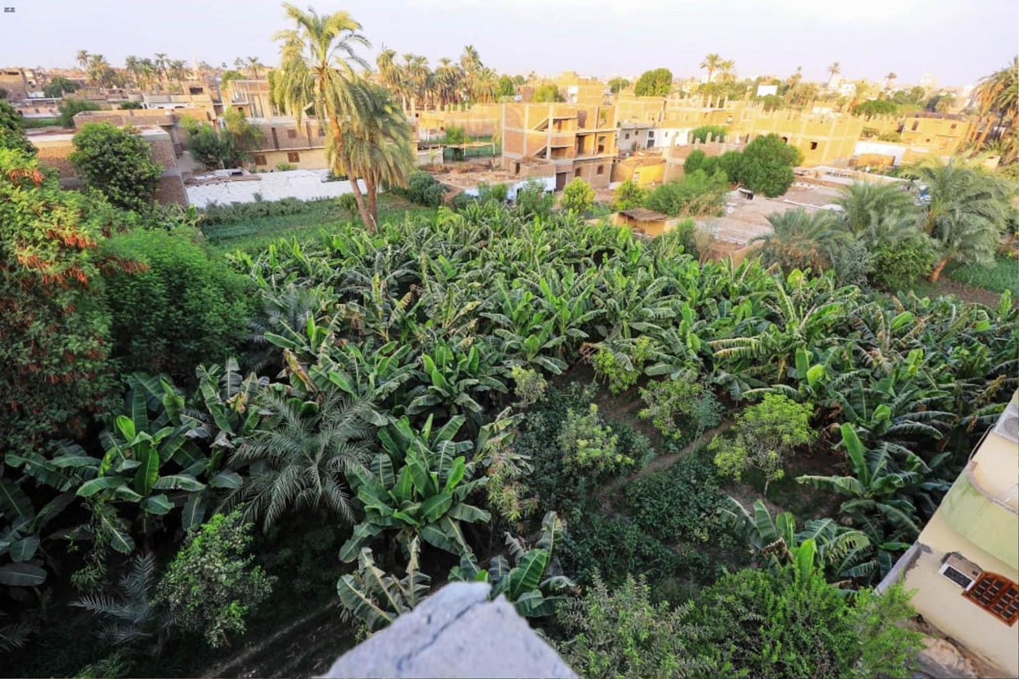 Luxor View Hostel 외부 사진