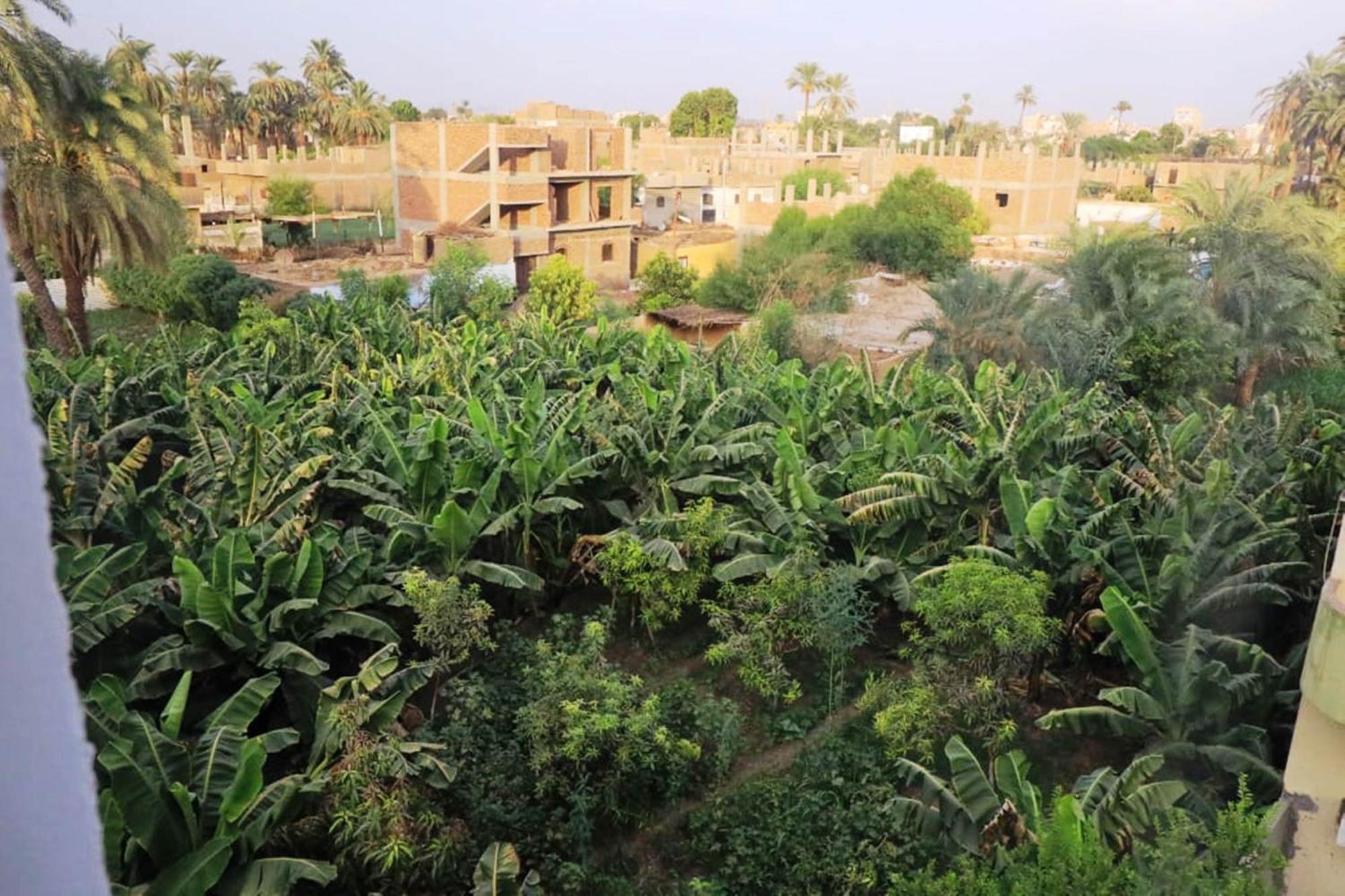 Luxor View Hostel 외부 사진